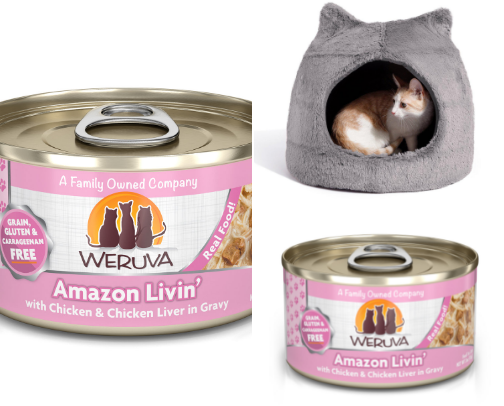 Ultimate Cat Essentials 🐾 | Healthy Food, Fun Toys & Daily Care cover photo collage