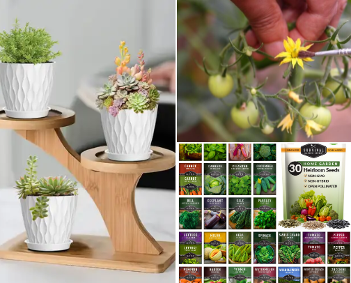 Urban Homestead, Apartment Dweller, Self Sufficiency cover photo collage