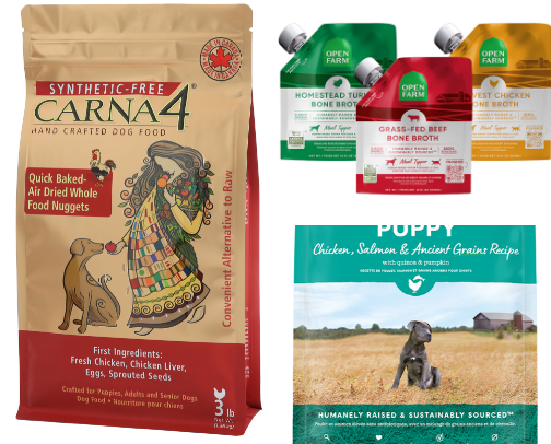 English Bulldogs essentials for nutrition and care. cover photo collage