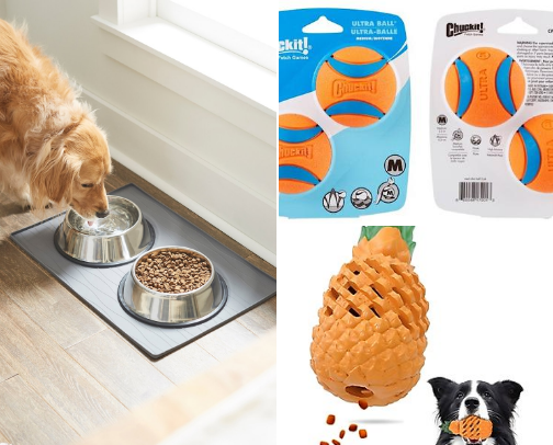 Doggy Necessities cover photo collage