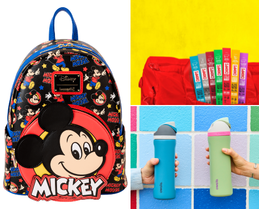 Going to Disney? Bring these items to the park! cover photo collage