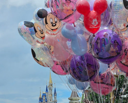 Going to Disney? Bring These Items to the Park 🏰🐭🎆 cover photo collage