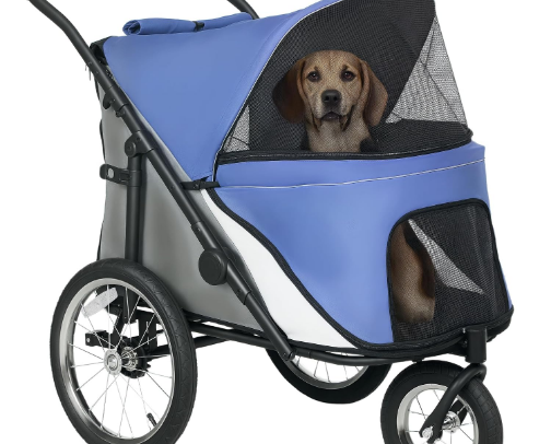My favorite dog products I actually use cover photo collage