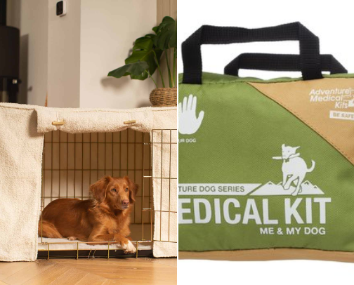 Dog & kitty must haves🐾 cover photo collage