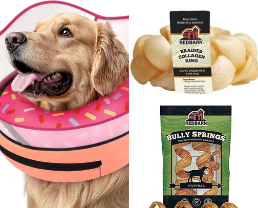 Spay & Neuter Essentials cover photo collage