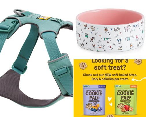 Pet Recommendations! cover photo collage