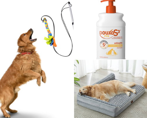 Everything you need to spoil your pooch cover photo collage