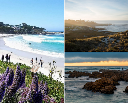 My Monterey, California Favorites 🌊😌 cover photo collage