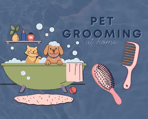 Pet grooming at home 🐶🐱🐾 (recommendations from a dog groomer) cover photo collage