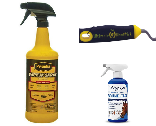 Barn Essentials Every Horse Owner Needs cover photo collage