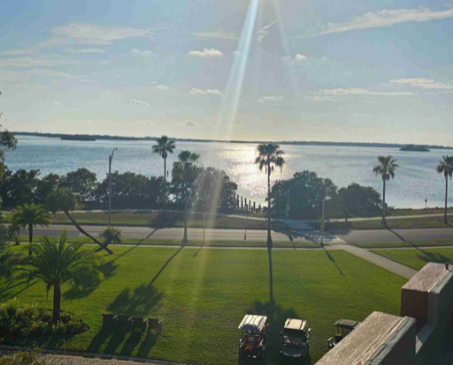 Travel Favorites: Florida Vacations & Girls Trips 🌴✈️ cover photo collage