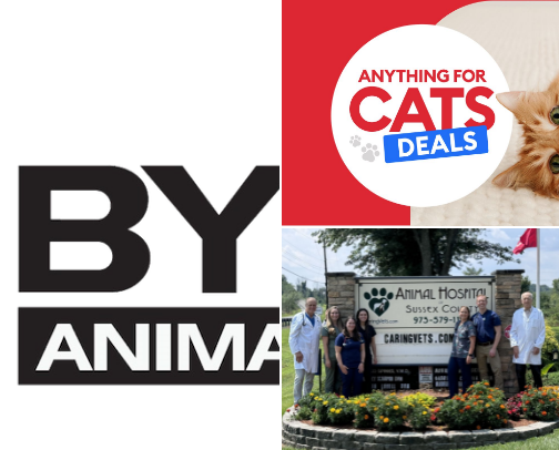 Pet Businesses (vets, stores, etc) cover photo collage