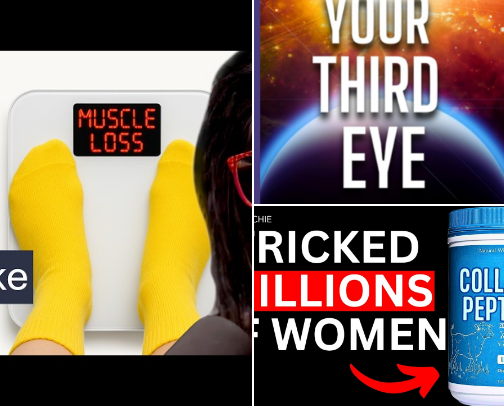 Wellness that WORKS cover photo collage