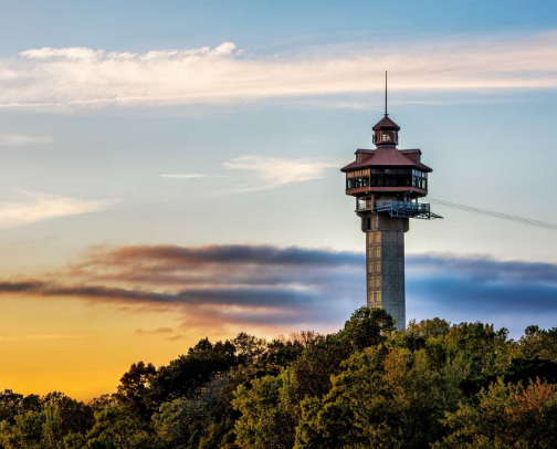 Branson Area Favorites From a Local cover photo collage