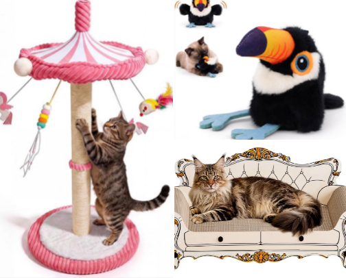 Cat things your cat can’t ignore! cover photo collage