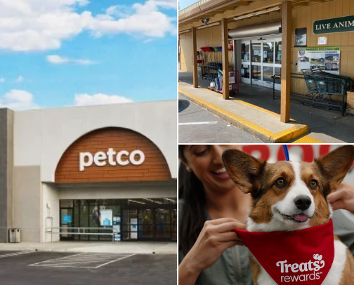 Pets care cover photo collage