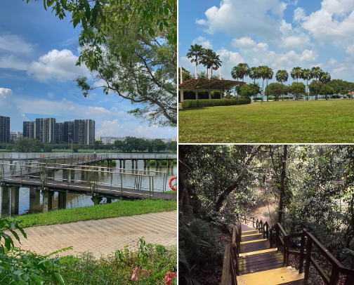 My top Singapore park cover photo collage