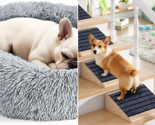 Pet Finds Your Pet (And You) Will Love cover photo collage