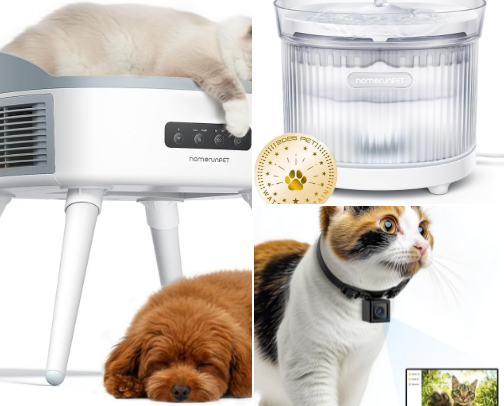 Dolce and Coco (Kitty Cats!) cover photo collage