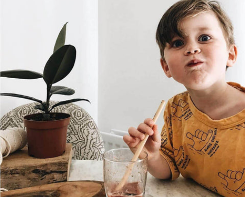 Simple Swaps for Sustainable Living cover photo collage