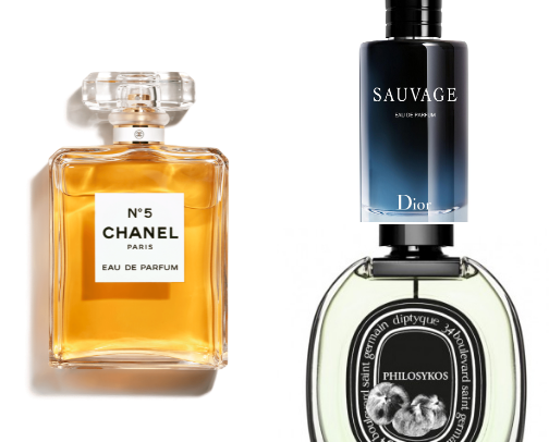 Most Influential Perfume Brands in the World cover photo collage