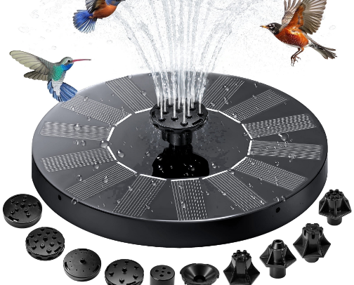 Hummingbirds cover photo collage