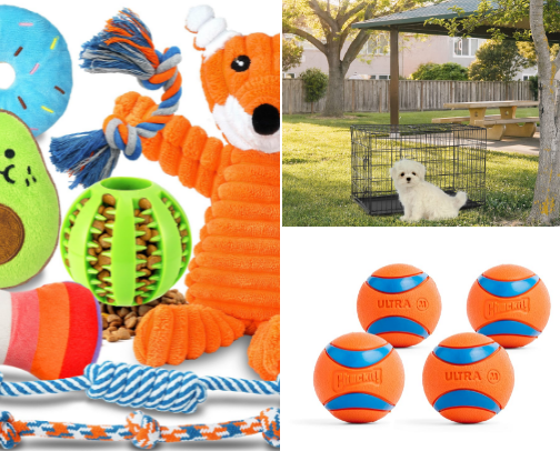 Dog Essentials for Home & Travel&nbsp;&nbsp;🐾&nbsp;🐶 cover photo collage