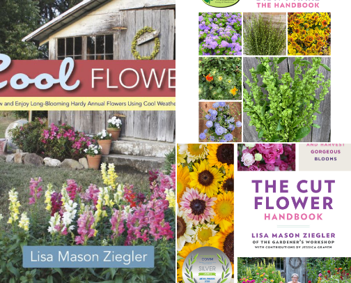 My favorite book recs cover photo collage
