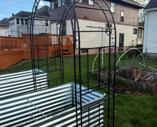 Successful Temu orders cover photo collage