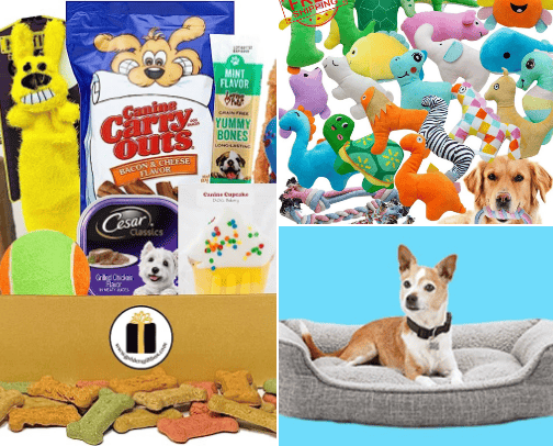 Puppy/Dog Must Haves cover photo collage