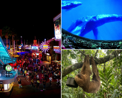Orlando Activities🗺️ cover photo collage
