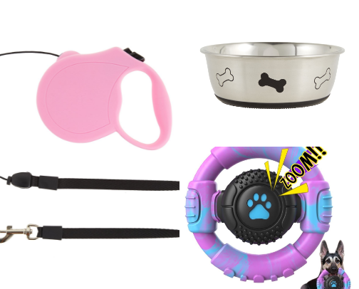Essentials for first time dog owners cover photo collage