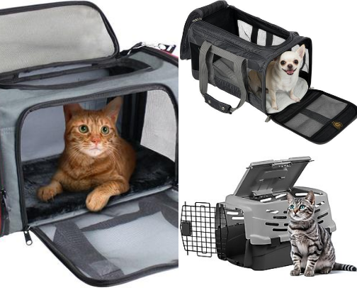 Vacation Trips Accessories and Travel Needs for Dogs and Cats Alike cover photo collage