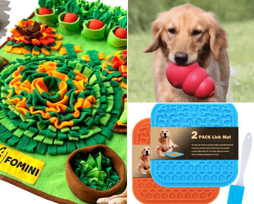Shakira-Tested. Mom-Approved. 🐾 cover photo collage