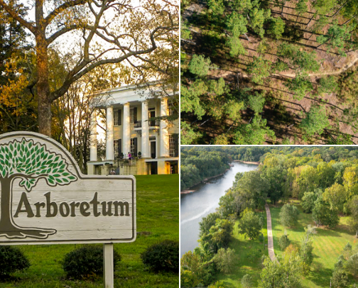 Pet friendly places Milledgeville Georgia cover photo collage