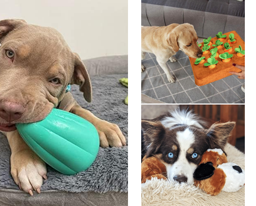 Best toys for dogs home alone (no more boredom or chewed shoes!) cover photo collage