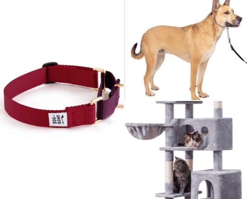 chewy dog & cat cover photo collage