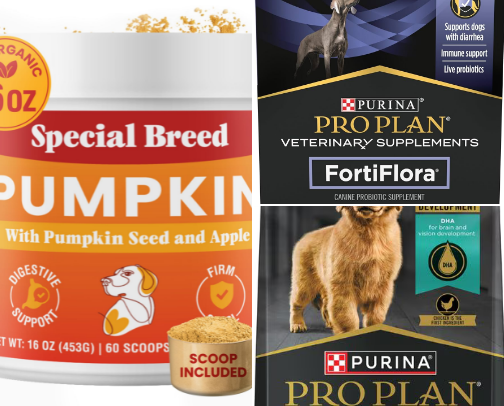 Let’s Eat! cover photo collage