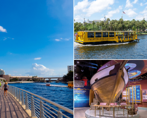 Tampa Florida Places To Go cover photo collage