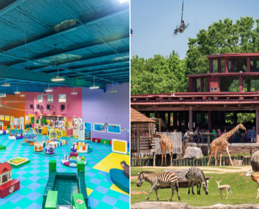 Fun kid activities in and near Montgomery, AL cover photo collage