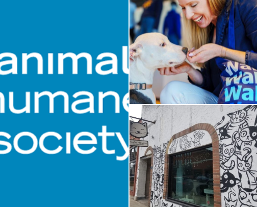 Helping Cats & Supporting Animal Welfare cover photo collage