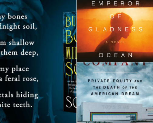 📚 Something for every reader, from thrillers to practical guides. cover photo collage