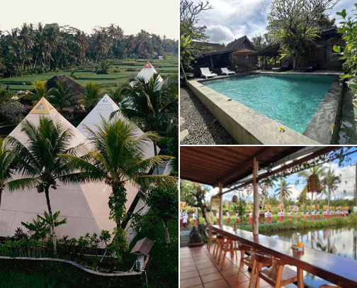 POV: Solo Girl in Bali (Budget Friendly) cover photo collage