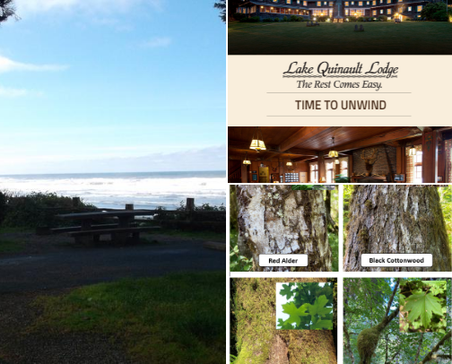 Olympic National Park must see. cover photo collage