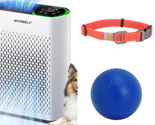 Petwise Chronicles cover photo collage