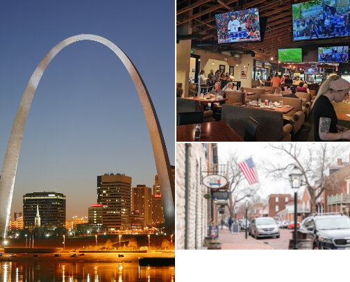 Visiting St. Louis? cover photo collage