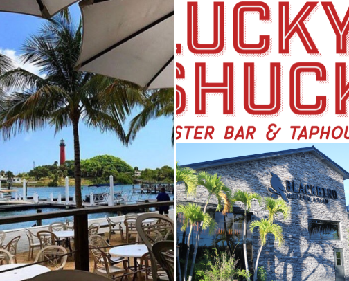 🍽️Palm Beach Food Guide cover photo collage