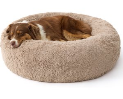 Pet Essentials My Dog Actually Uses cover photo collage