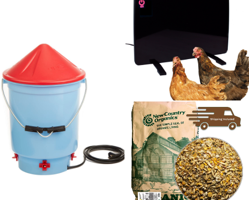 Chicken Essentials for Winter cover photo collage