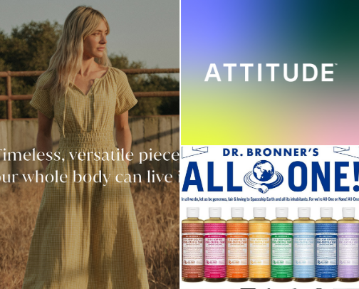 Non-Toxic swaps cover photo collage